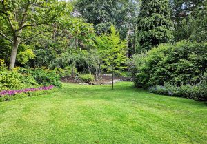 Optimiser l'expérience du jardin à Clarensac